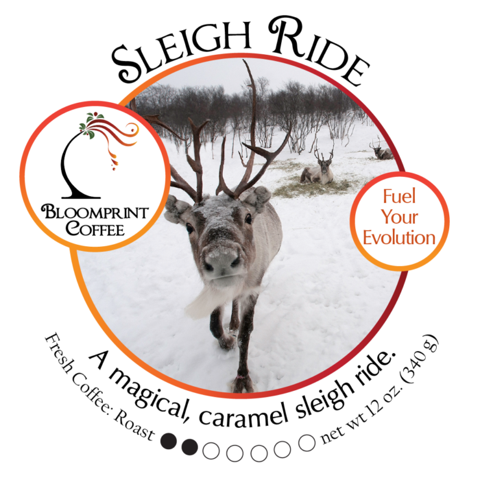 Sleigh Ride